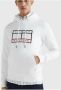 Tommy Hilfiger Menswear Flag Outline Hoodie - Thumbnail 7