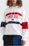 Tommy Jeans Multi Sweater Tjm Skater Archive Block Hoodie - Thumbnail 8