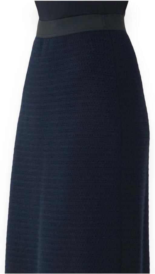Fabiana Filippi Stijlvolle Rok voor Vrouwen Blue Dames