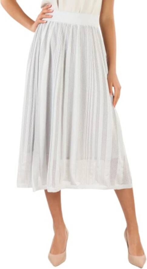 Fabiana Filippi Midi Skirts Grijs Dames