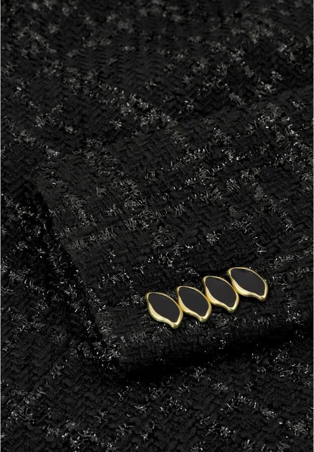 Fabienne Chapot geruite getailleerde blazer Cher zwart - Foto 5