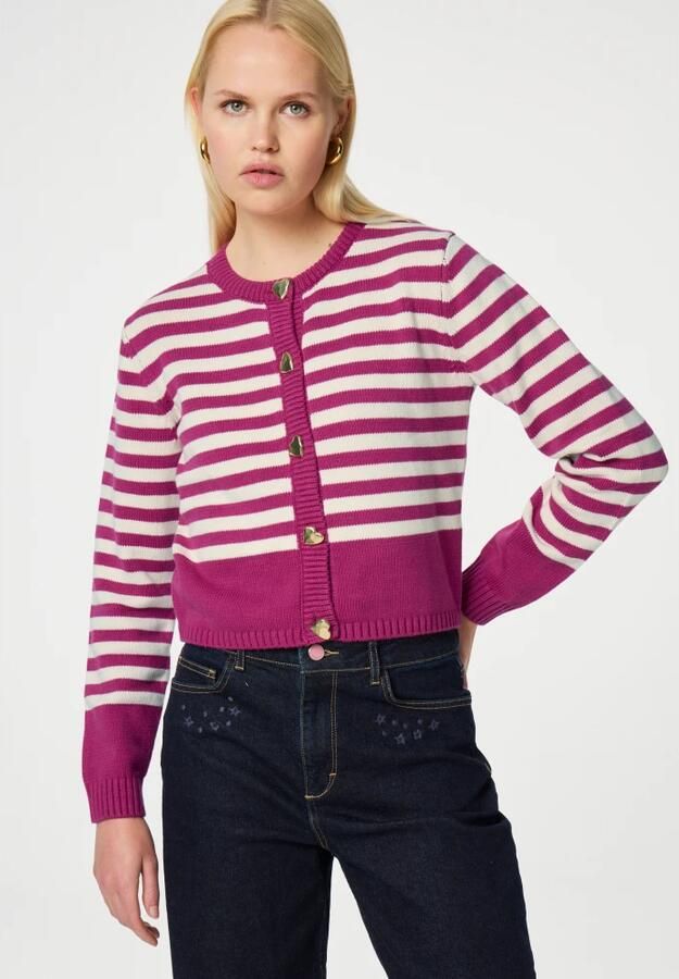 Fabienne Chapot Comfortabele Gebreide Vest Multicolor Dames - Foto 4