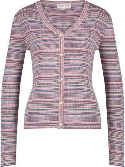 Fabienne Chapot Gestreepte V-hals Vest Pink Dames