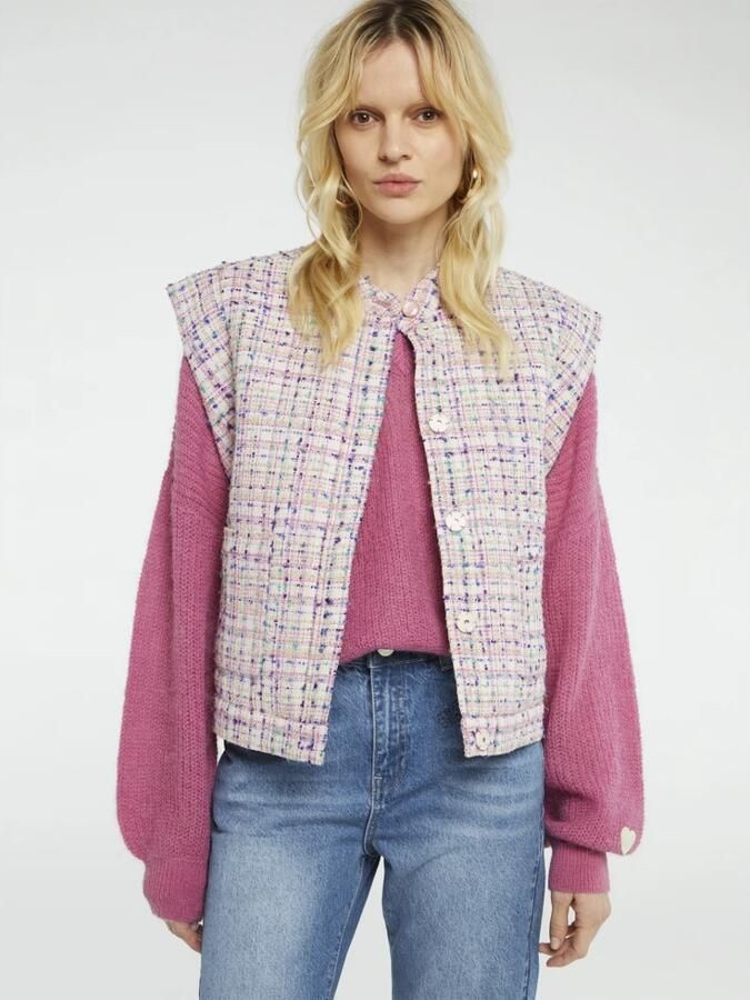 Fabienne Chapot Hart-Patroon Tweed Gilet met Drukknop Sluiting Multicolor Dames - Foto 4