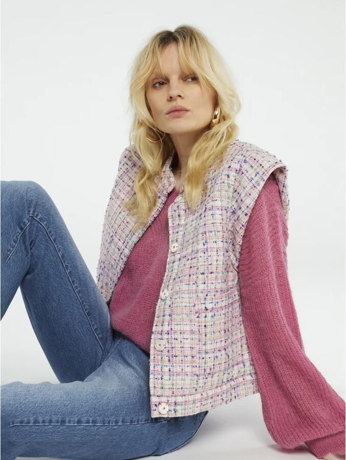 Fabienne Chapot Hart-Patroon Tweed Gilet met Drukknop Sluiting Multicolor Dames - Foto 2