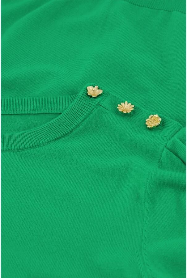 Fabienne Chapot Bloemen Pullover met 3 4 Mouwen Green Dames - Foto 1
