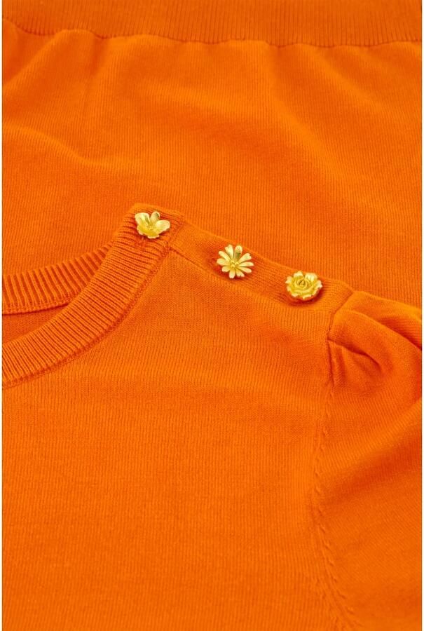 Fabienne Chapot Jolly Pullover Stijlvol en Comfortabel Orange Dames