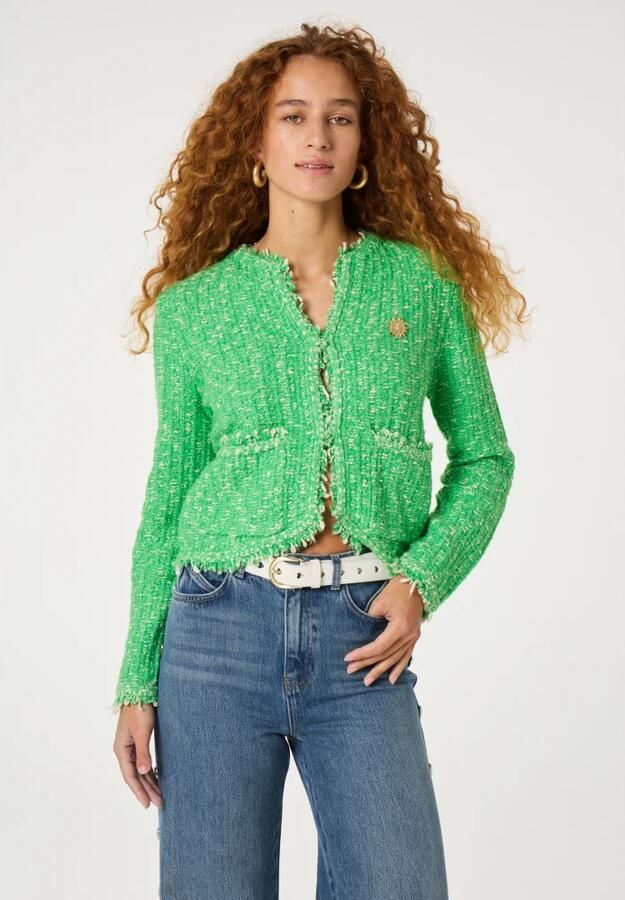 Fabienne Chapot Joshua Cardigan Green Dames - Foto 4