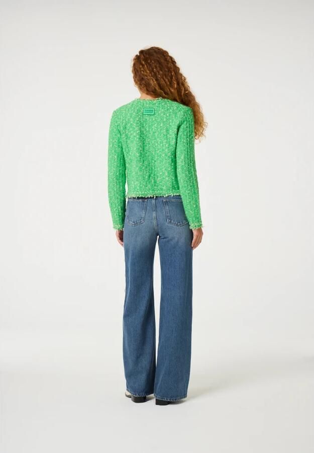Fabienne Chapot Joshua Cardigan Green Dames - Foto 5
