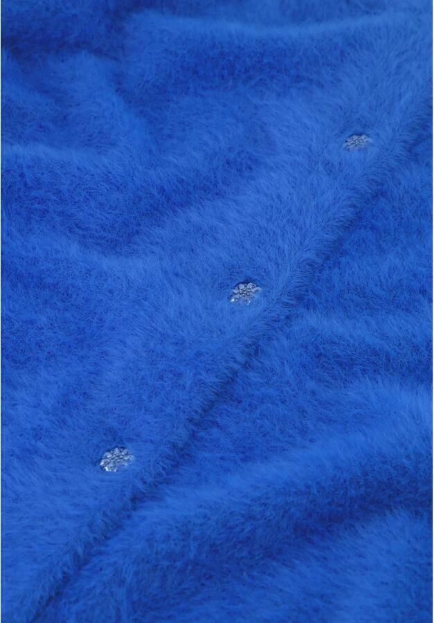 FABIENNE CHAPOT Dames Truien & Vesten Kate Cardigan Blauw