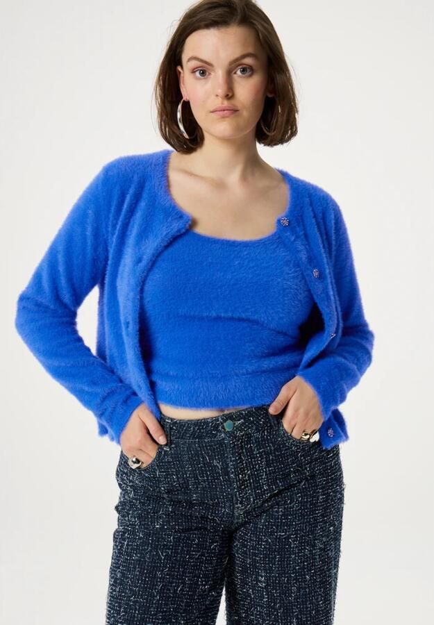 FABIENNE CHAPOT Dames Truien & Vesten Kate Cardigan Blauw - Foto 3