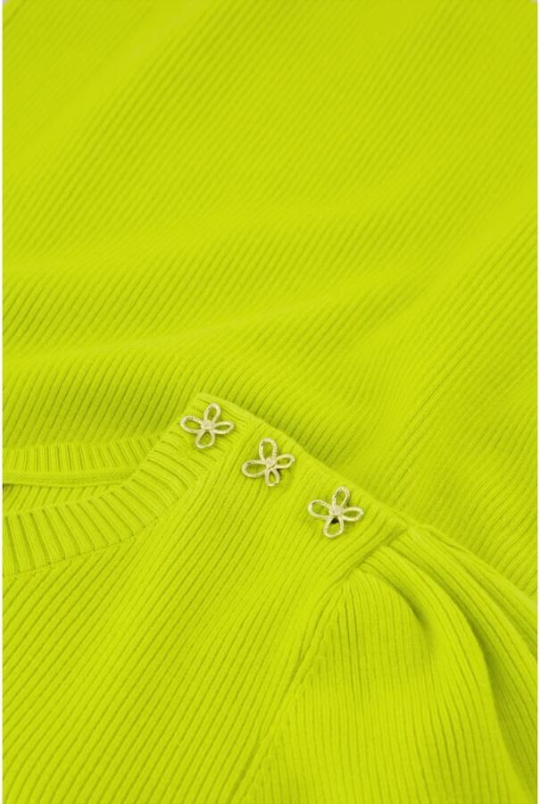 Fabienne Chapot Prachtige Lime Korte Mouw Pullover Topper Green Dames