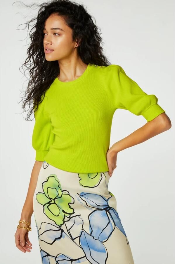 Fabienne Chapot Prachtige Lime Korte Mouw Pullover Topper Green Dames - Foto 2