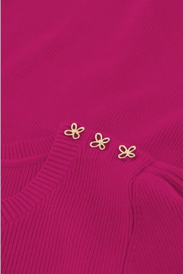 FABIENNE CHAPOT Dames Truien & Vesten Lillian Ss Pullover Roze