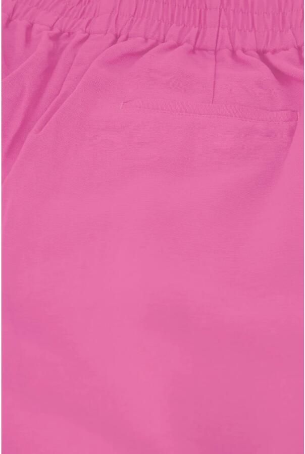 Fabienne Chapot Pantalon Clt-277-Trs-Ss24 Pink Dames - Foto 2