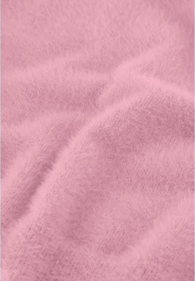 Fabienne Chapot Roze Ronde Hals Dames Top Pink Dames - Foto 2