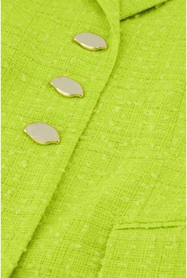 Fabienne Chapot Cher Blazer Stijlvol en Trendy Green Dames
