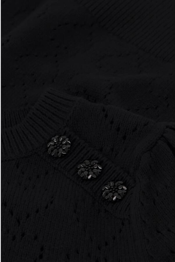 Fabienne Chapot Zwarte Pullover met Hart Borduursel Black Dames