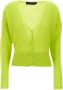 Federica Tosi Sweaters Green Groen Dames - Thumbnail 1