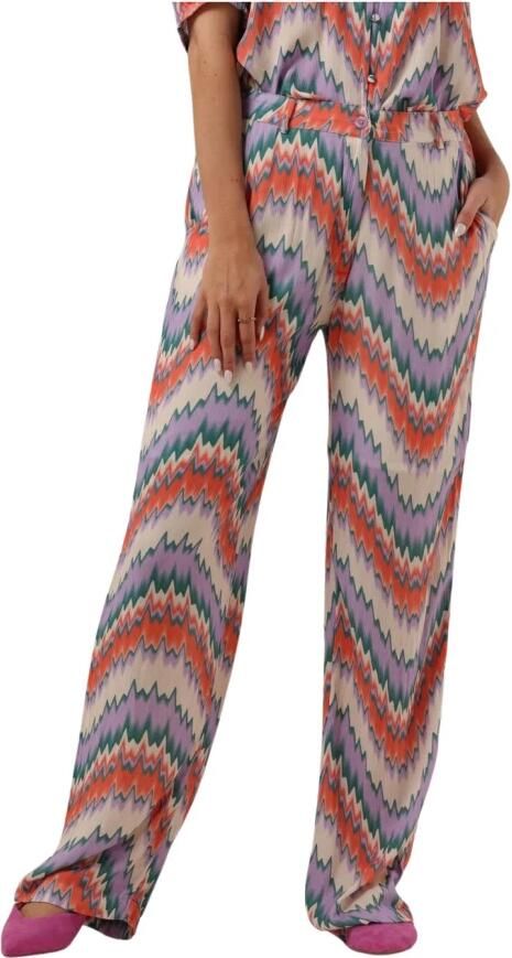 FREEBIRD Dames Broeken Wv-aop-crinkle-vis-23-1.1 Paars - Foto 5