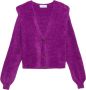 Gaëlle Paris Korte Gebreide Cardigan met Ciniglia Bandjes Purple Dames - Thumbnail 1