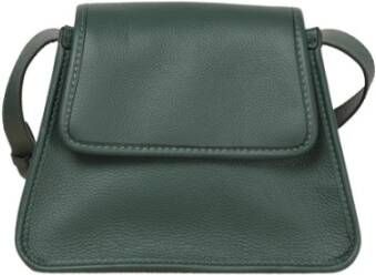 Gianni Chiarini Crossbody zak Groen Dames