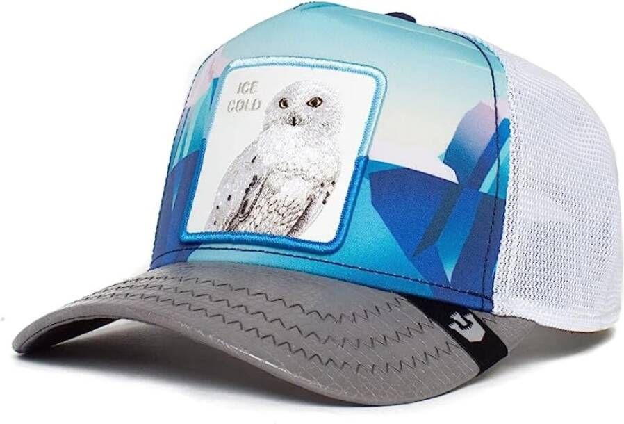 Goorin Bros Stijlvolle Caps voor elke gelegenheid Gray Unisex