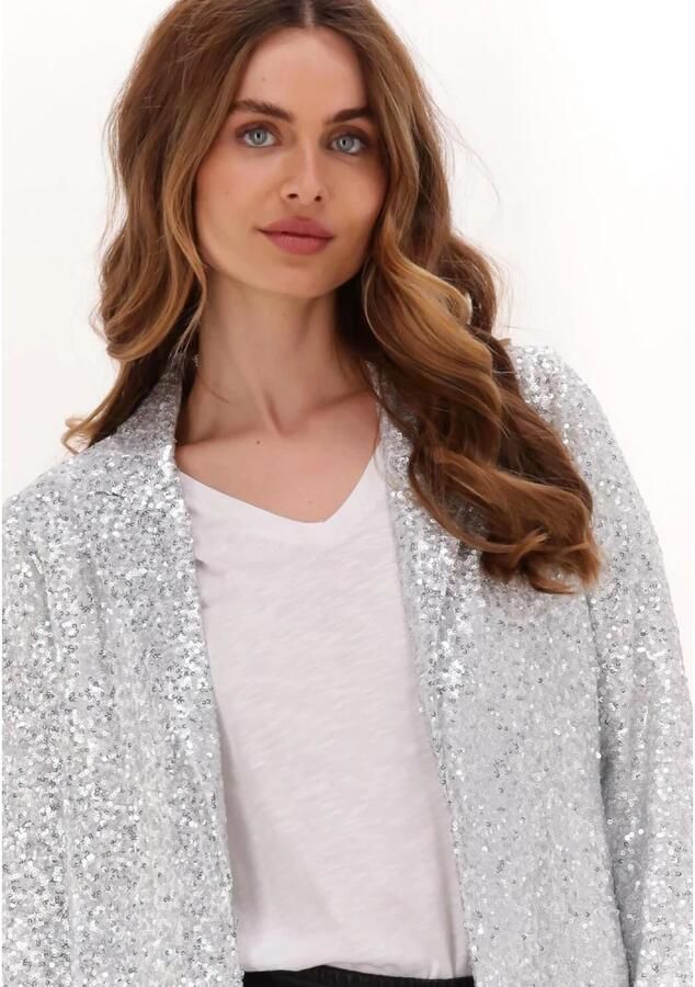 GOOSECRAFT Dames Blazers Bowie Sequine Blazer Zilver - Foto 4