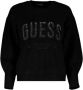 Guess Zwarte Sweater Estelle Rn Ls Swtr - Thumbnail 2