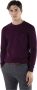 Harmont & Blaine Paarse Wol Crew Neck Sweater met Contrasterende Details en Borduursel Purple Heren - Thumbnail 3