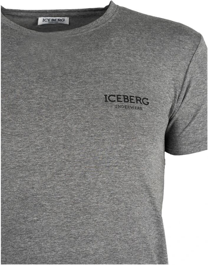 Iceberg Aansluitend Ronde Hals T-shirt Gray Heren