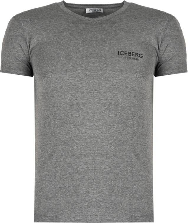 Iceberg t-shirt Grijs Heren