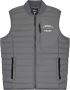 In Gold We Trust Heren The Glory Bodywarmer Gray Heren - Thumbnail 1