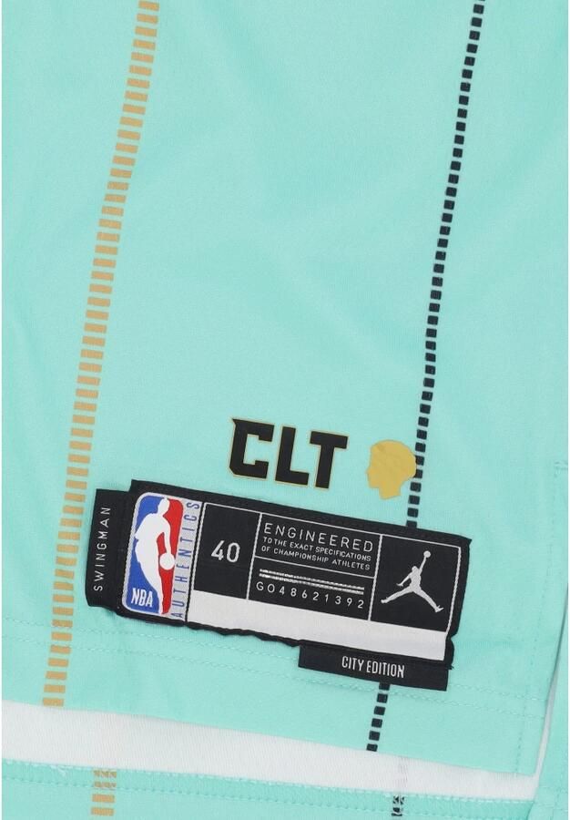 Jordan LaMelo Ball Charlotte Hornets 2024 25 City Edition Dri-FIT Swingman NBA-jersey voor heren Groen