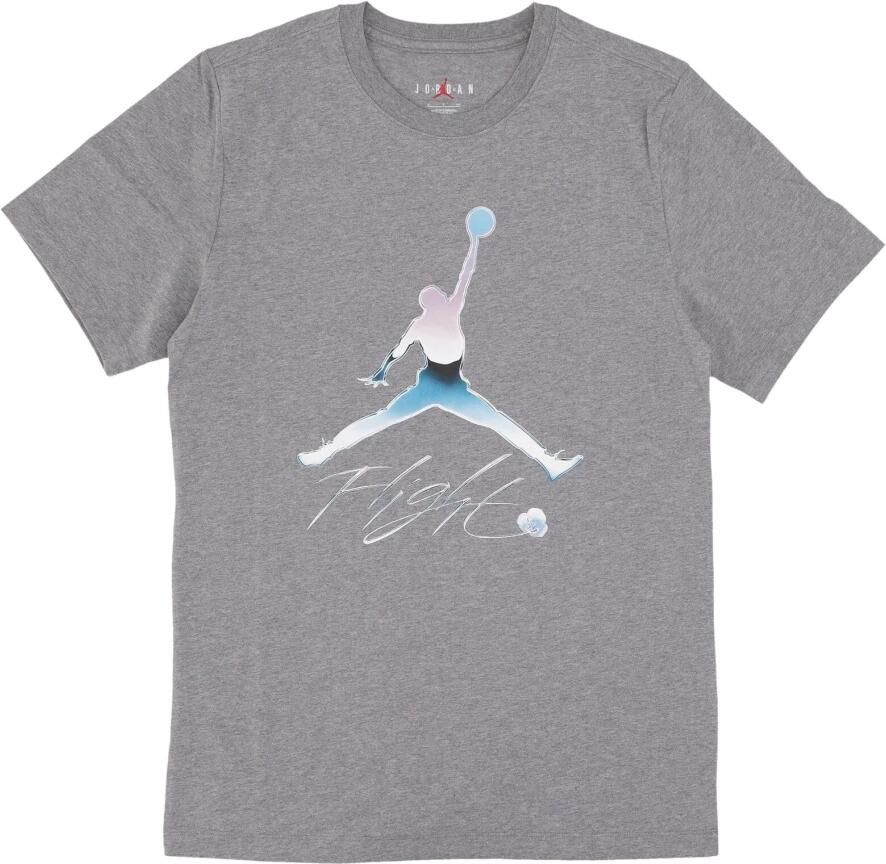 Jordan Grafische Tee Carbon Heather T-shirt Gray Heren