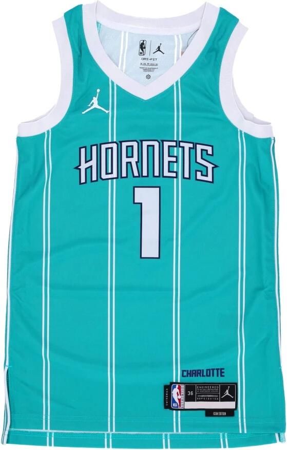 Jordan Charlotte Hornets Icon Edition 2022 23 Swingman Dri-FIT NBA-jersey voor heren Blauw - Foto 3