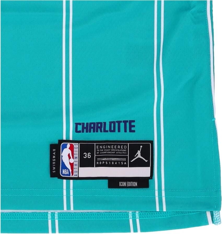 Jordan Charlotte Hornets Icon Edition 2022 23 Swingman Dri-FIT NBA-jersey voor heren Blauw