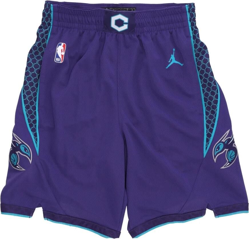 Jordan Charlotte Hornets Statement Edition Swingman Dri-FIT NBA-basketbalshorts voor heren Paars