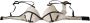 Just Cavalli Luipaardprint Push Up Beha White Dames - Thumbnail 4