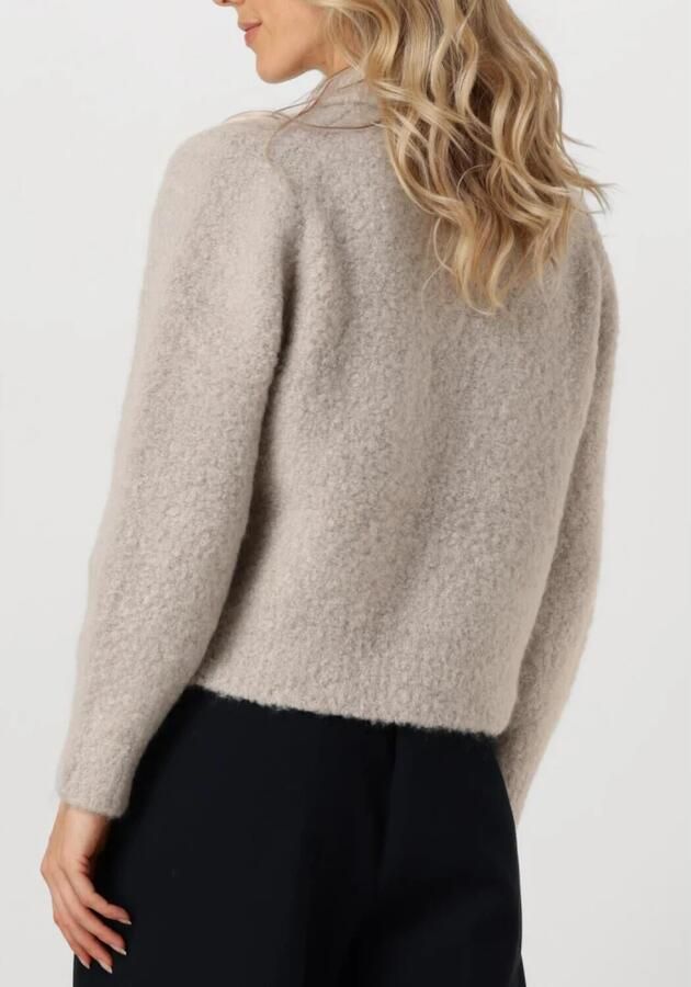 Knit-ted Elegant Lichtgrijs Vest ASA Gray Dames - Foto 2