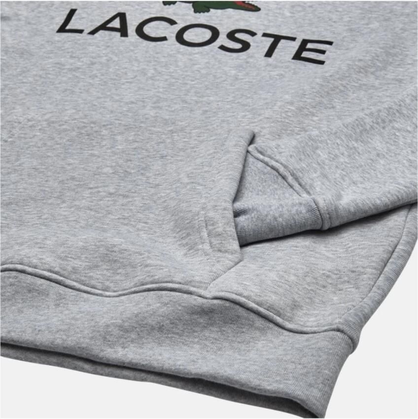 Lacoste Hoodie Grijs Regular Fit Gray Heren - Foto 2