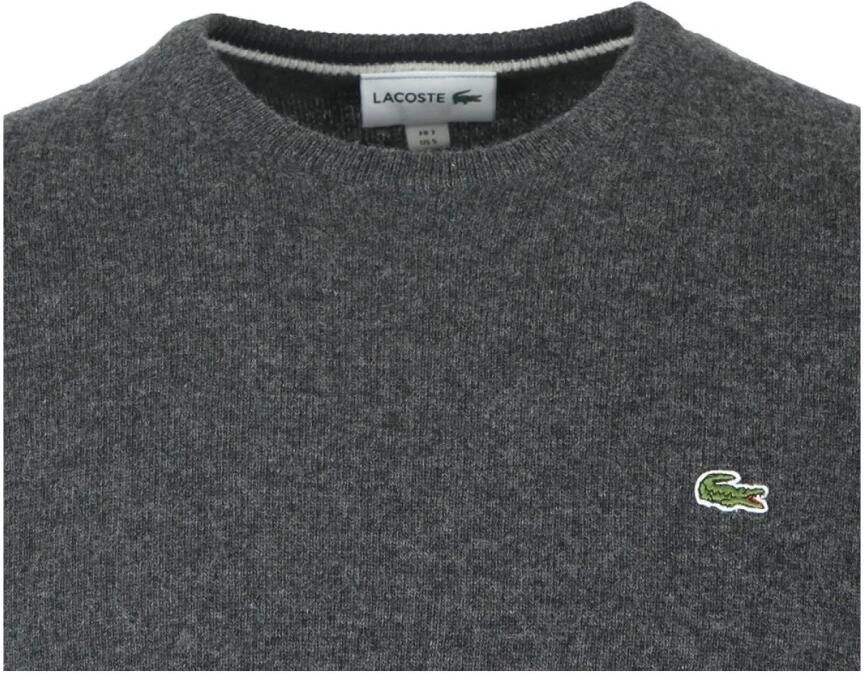 Lacoste Wollen Pullover Regular Fit Ronde Hals Gray Heren