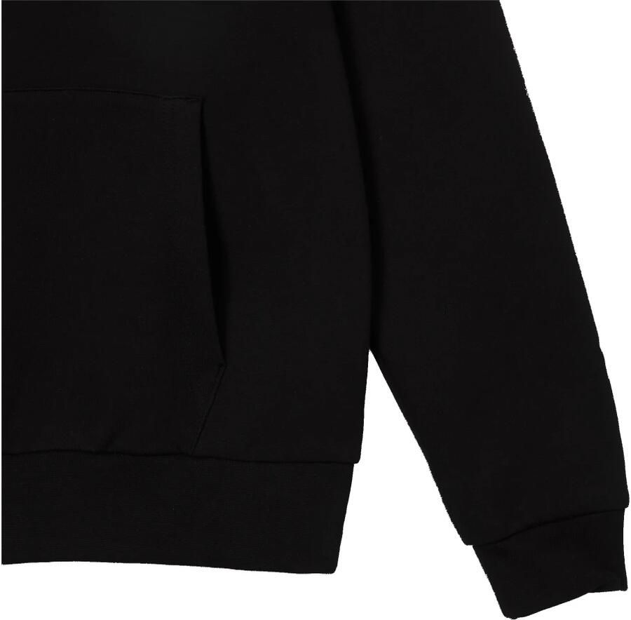 Lacoste Hoody Sweatshirt Hoodies Kleding black maat: XXL beschikbare maaten:S M L XL XXL XS - Foto 2