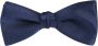 Lanvin Blauwe Zijden Strik voor Heren Blauw Heren - Thumbnail 1