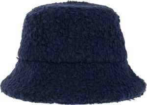 Lanvin Hats Blauw Dames