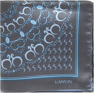 Lanvin Pocket sjaals Blauw Dames