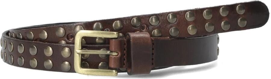 Legend Bruin Leren Riem met Metalen Studs Brown Dames
