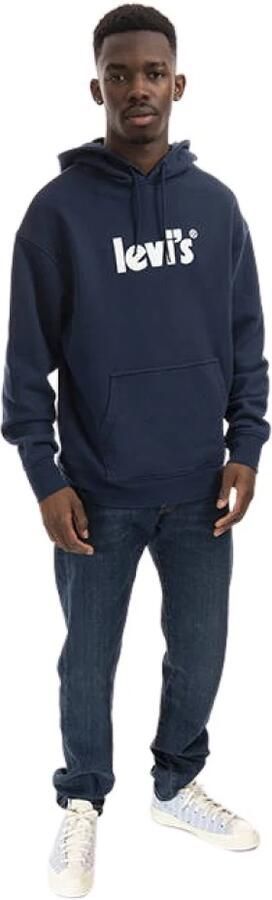 Levi's Hoodie LE T2 RELAXED GRAPHIC PO met gekleurde logoprint - Foto 9