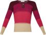 Liu Jo Multicolor Gestreepte Dames Trui Multicolor Dames - Thumbnail 3