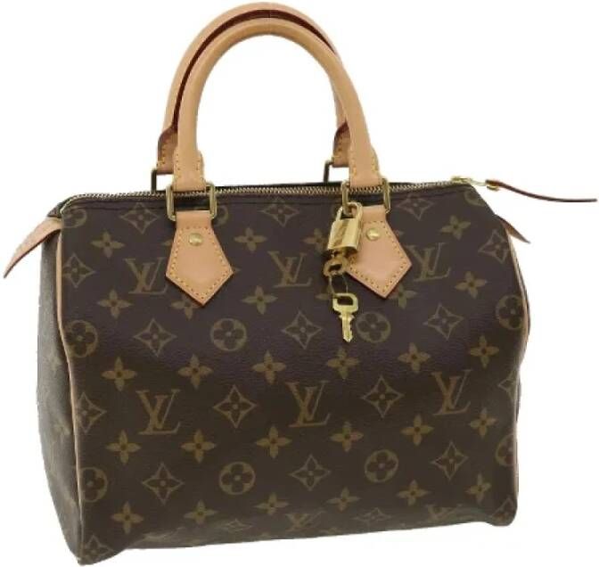 Louis Vuitton Vintage Pre-owned Canvas handbags Bruin Dames